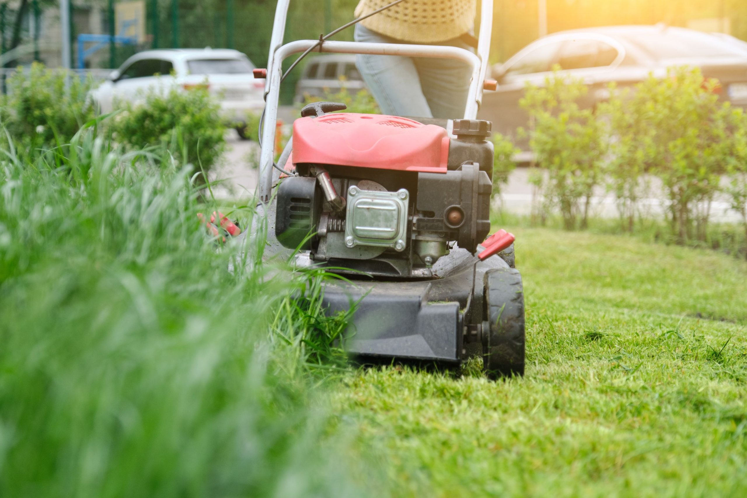 Commercial Lawn Services Easy Care Lawn Service